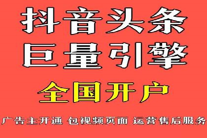 SEM服务公司成功案例解读